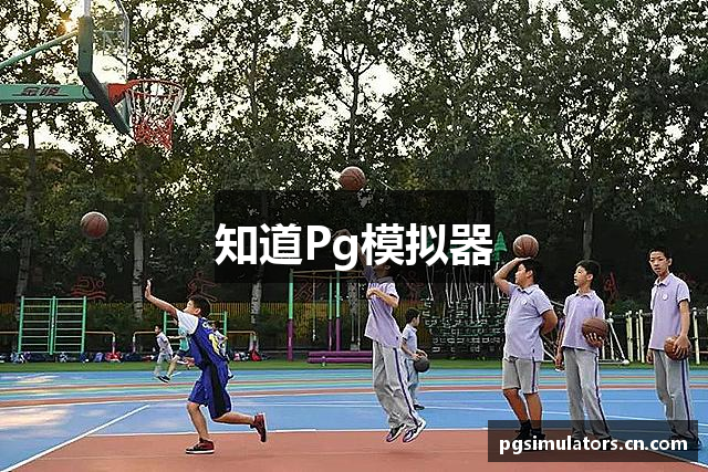 知道Pg模拟器